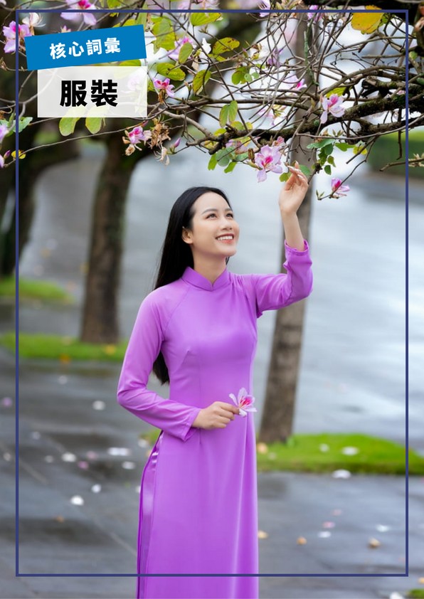 【VN325】入門核心詞彙：服裝篇 by VVday教師群 (圖文影音課)