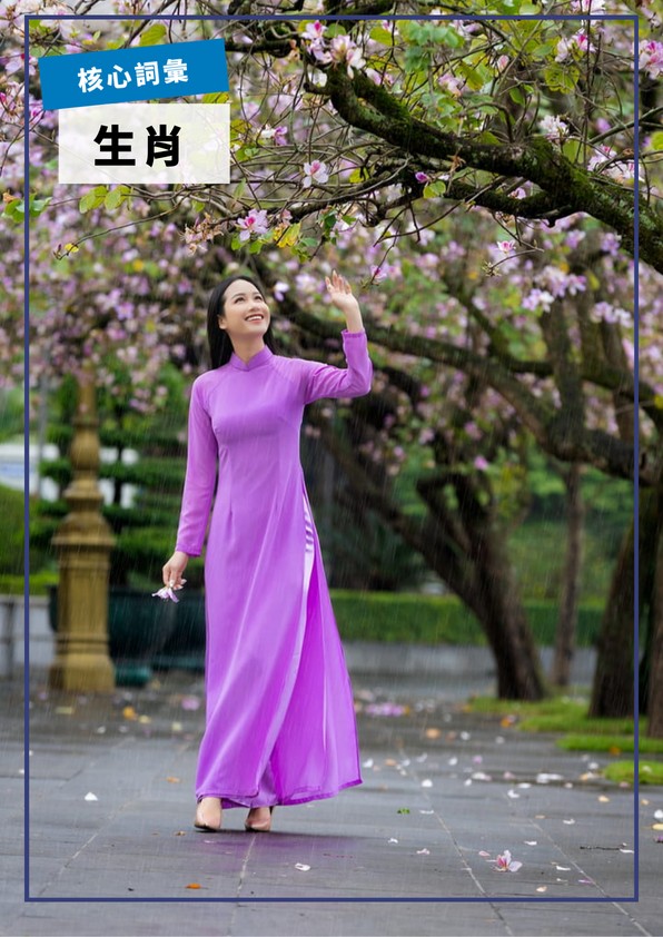 【VN327】入門核心詞彙：十二生肖篇 by VVday教師群 (圖文影音課)